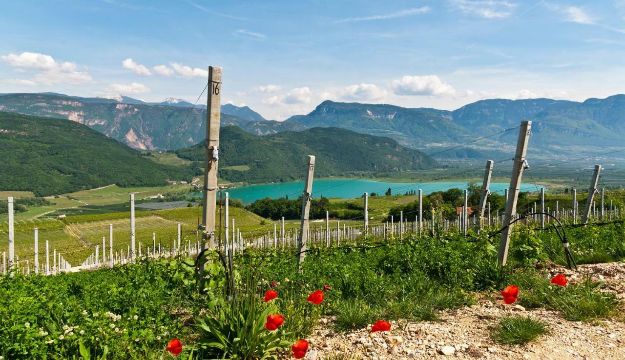 Hotel Weingut Klosterhof Caldaro Bagian luar foto